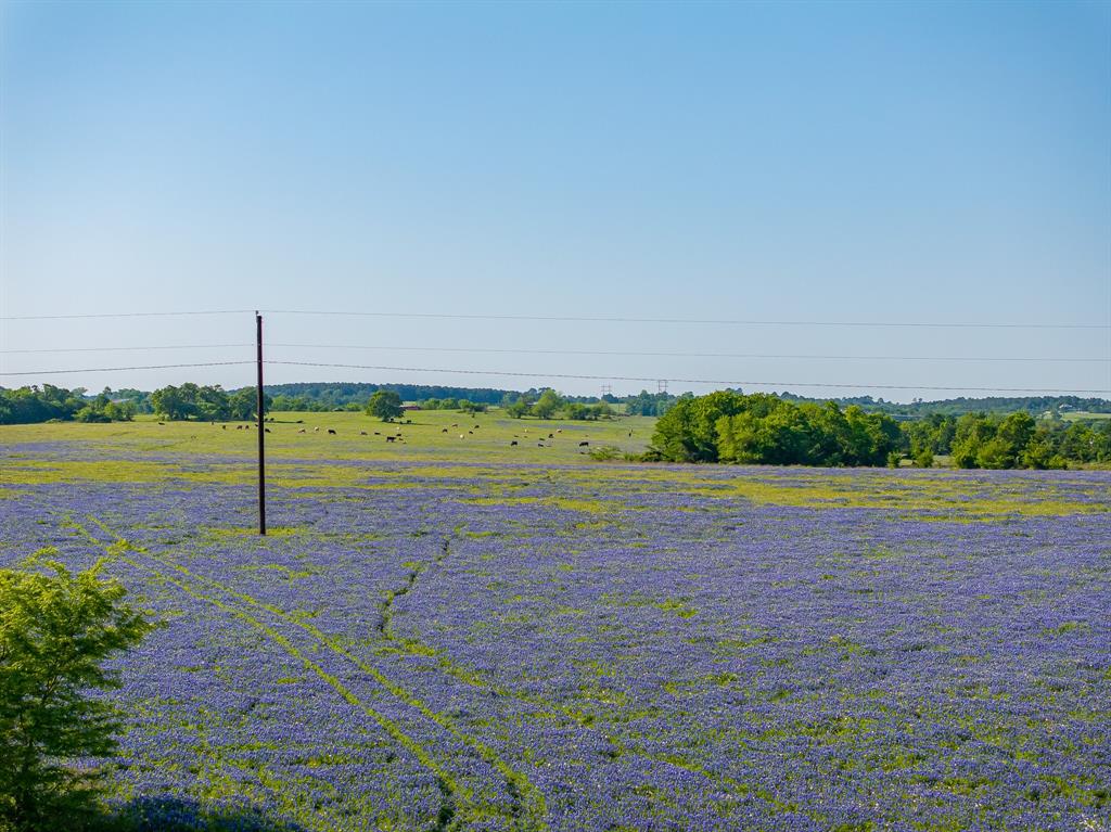 000 County Road 405, Navasota, Texas image 25