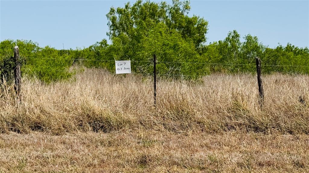Lot 5 6 And 7 Cr 418, Premont, Texas image 11