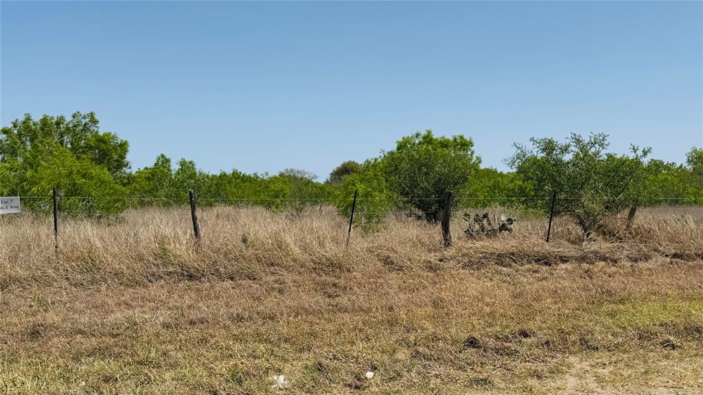 Lot 5 6 And 7 Cr 418, Premont, Texas image 12