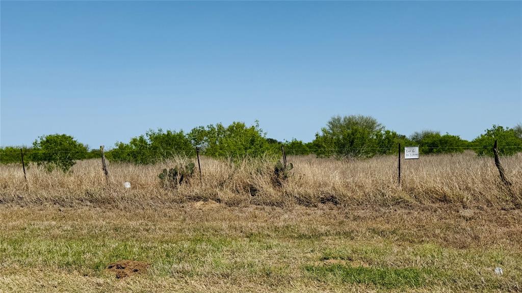Lot 5 6 And 7 Cr 418, Premont, Texas image 7