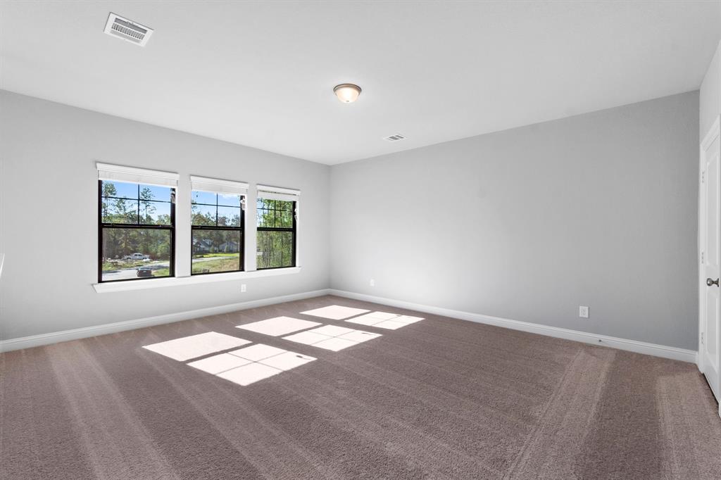 25216 Pleasant Retreat Court, Montgomery, Texas image 29