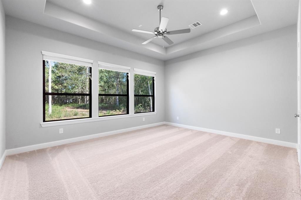25216 Pleasant Retreat Court, Montgomery, Texas image 21