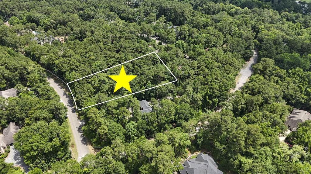 10362 Hunter Creek Lane, Conroe, Texas image 6