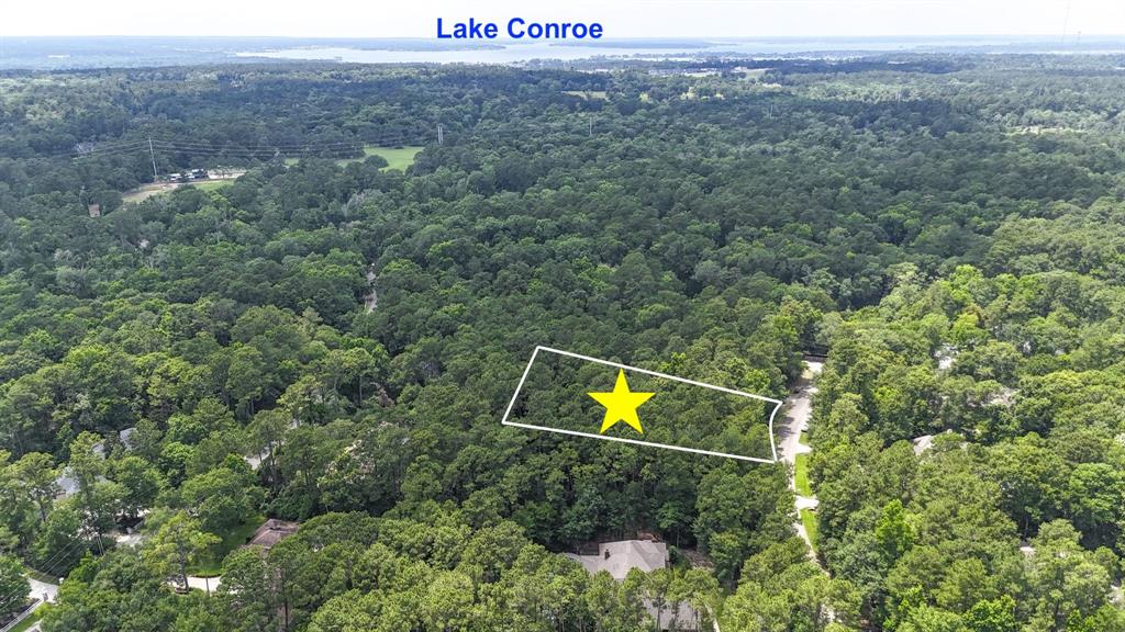 10362 Hunter Creek Lane, Conroe, Texas image 7