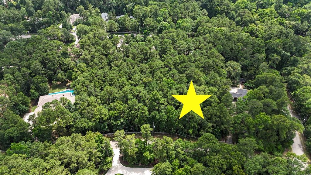 10362 Hunter Creek Lane, Conroe, Texas image 8