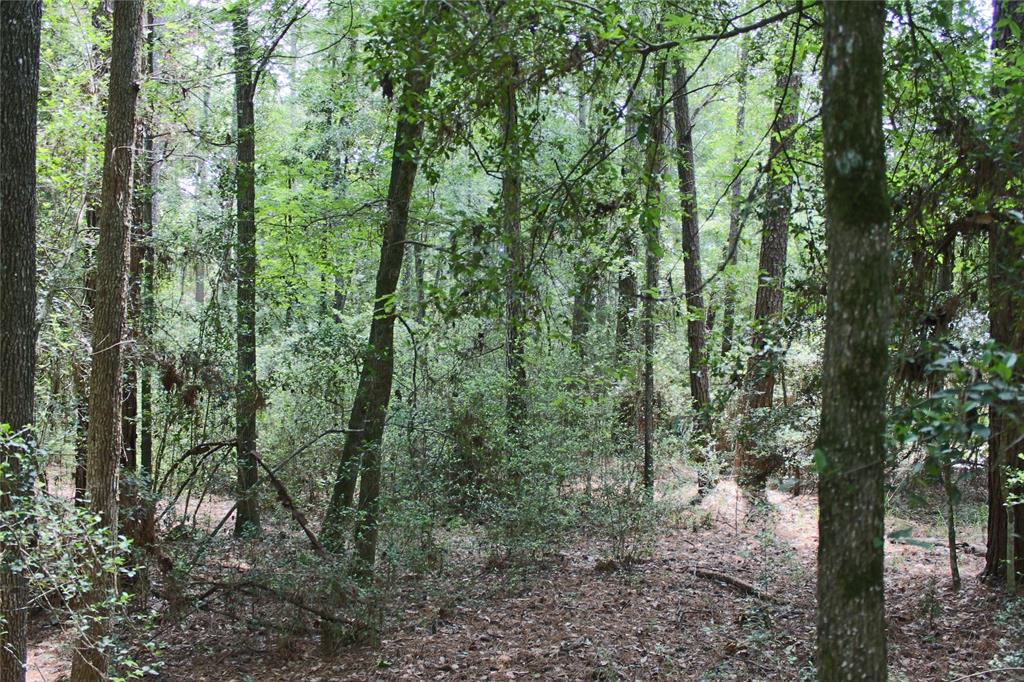 10362 Hunter Creek Lane, Conroe, Texas image 3