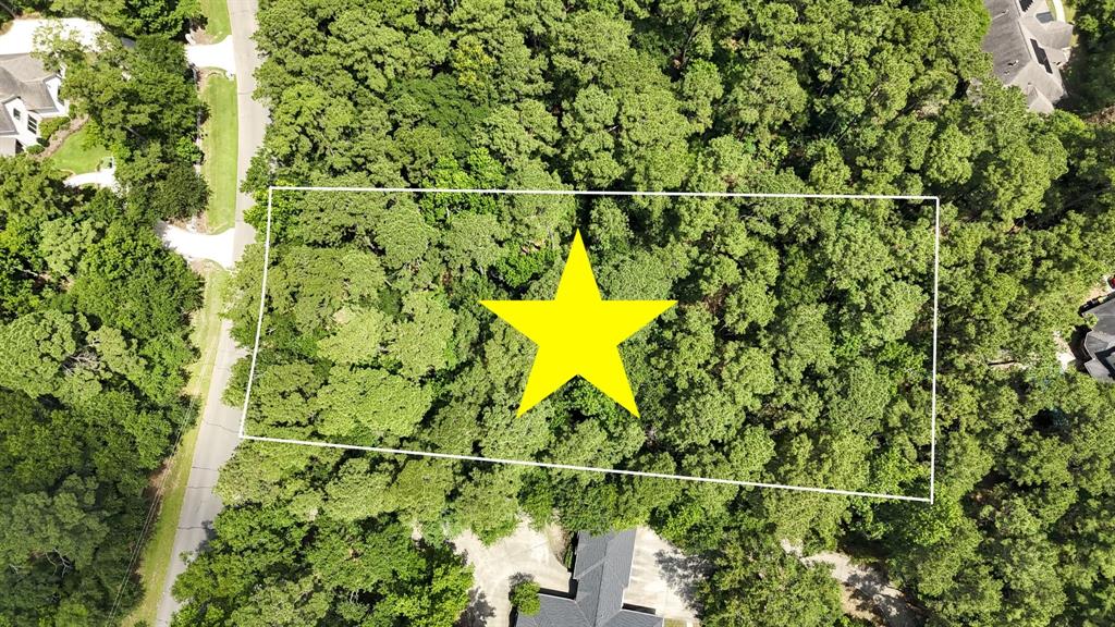 10362 Hunter Creek Lane, Conroe, Texas image 2