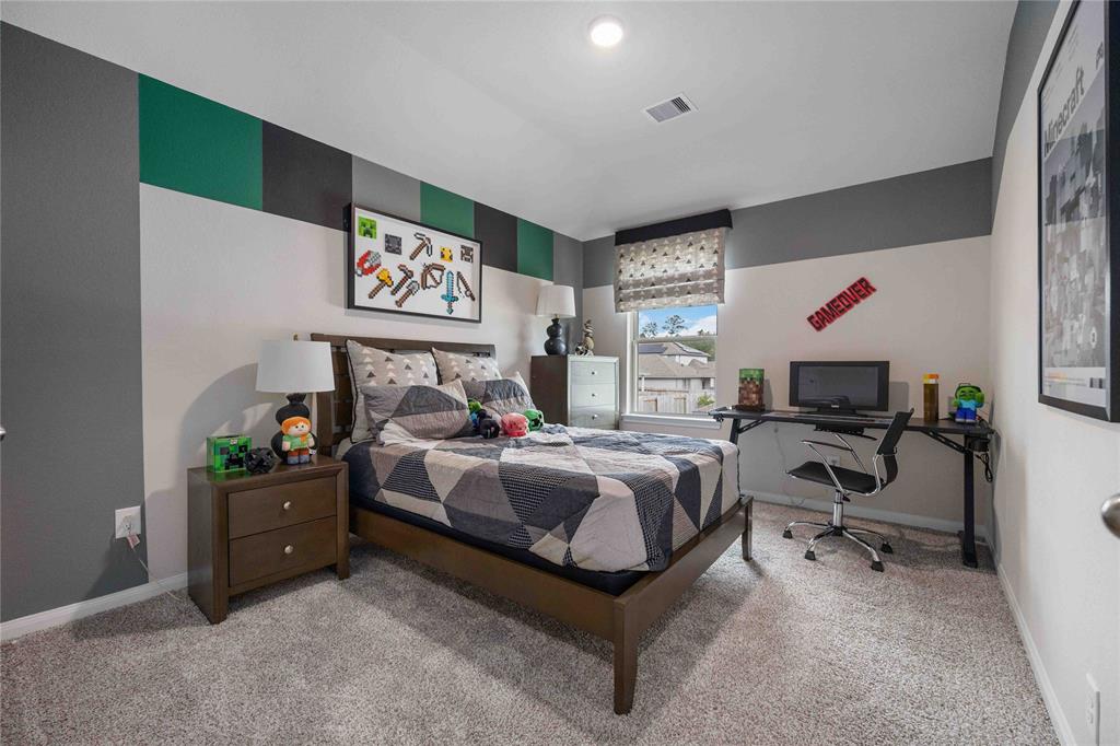 12247 Danza Drive Dr, Willis, Texas image 22