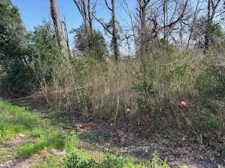 830 Ringold Street, Houston, Texas image 1