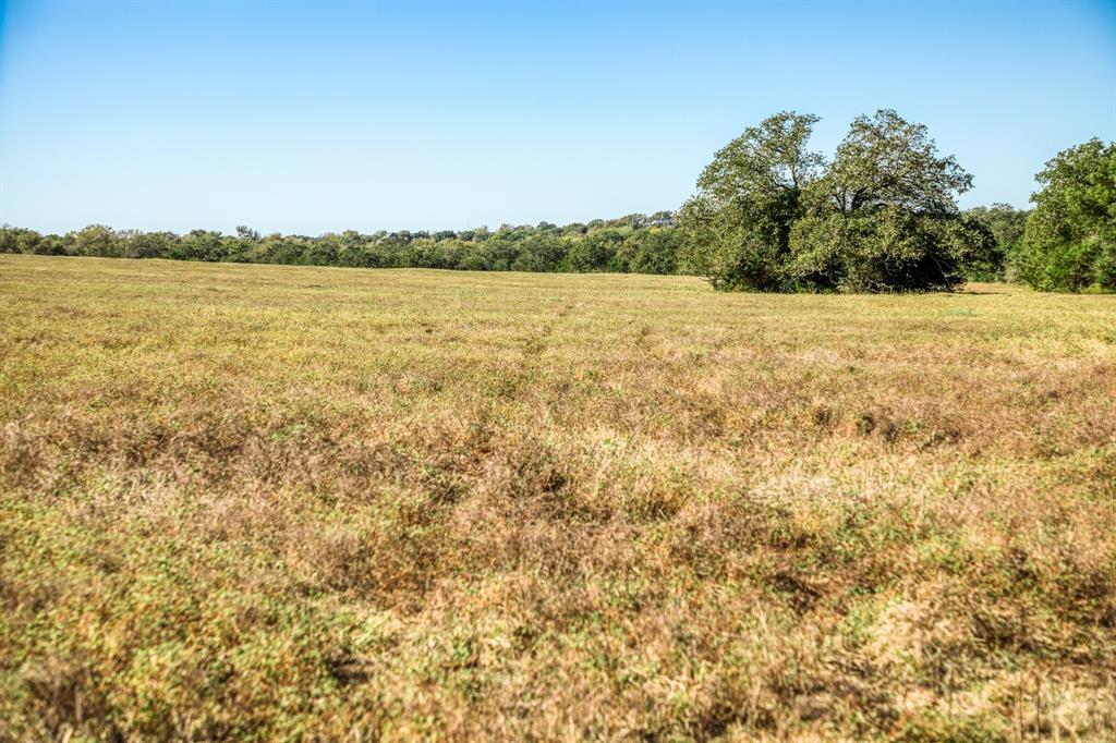 03 Sawmill Road, Brenham, Texas image 8