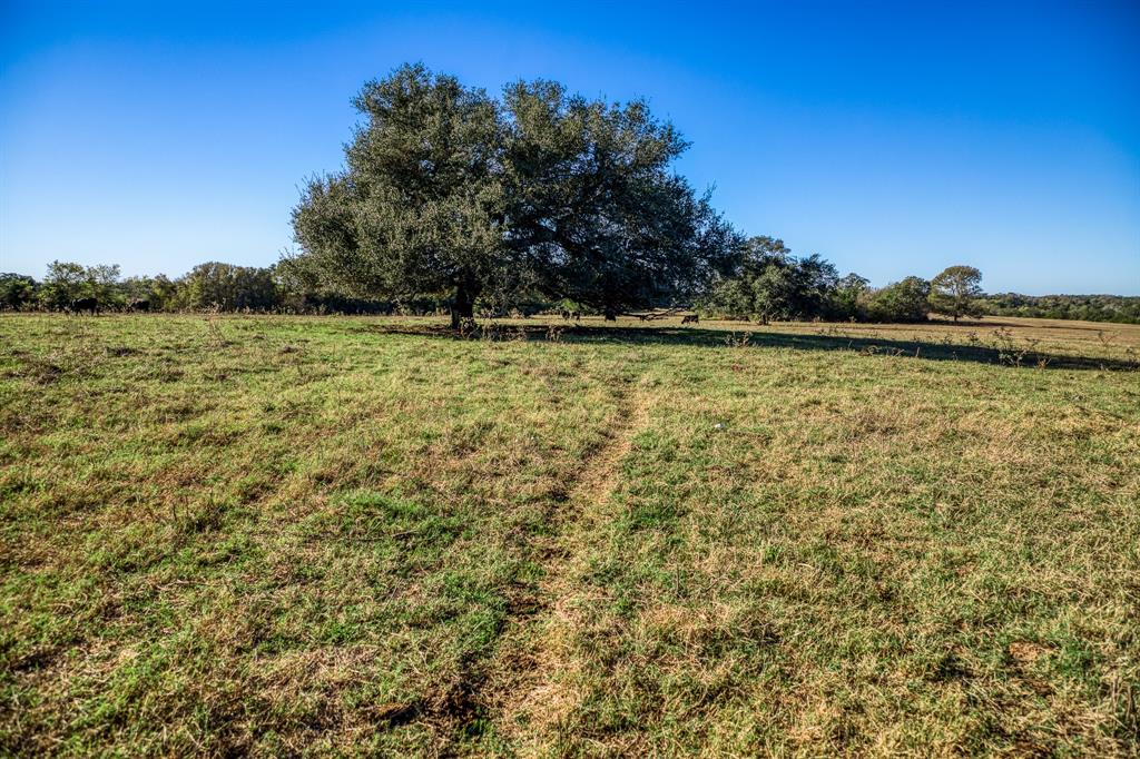 03 Sawmill Road, Brenham, Texas image 2