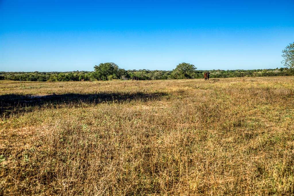 03 Sawmill Road, Brenham, Texas image 4