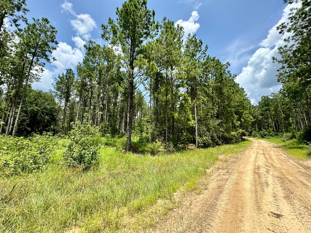 Slim Palmer Rd, Zavalla, Texas image 16