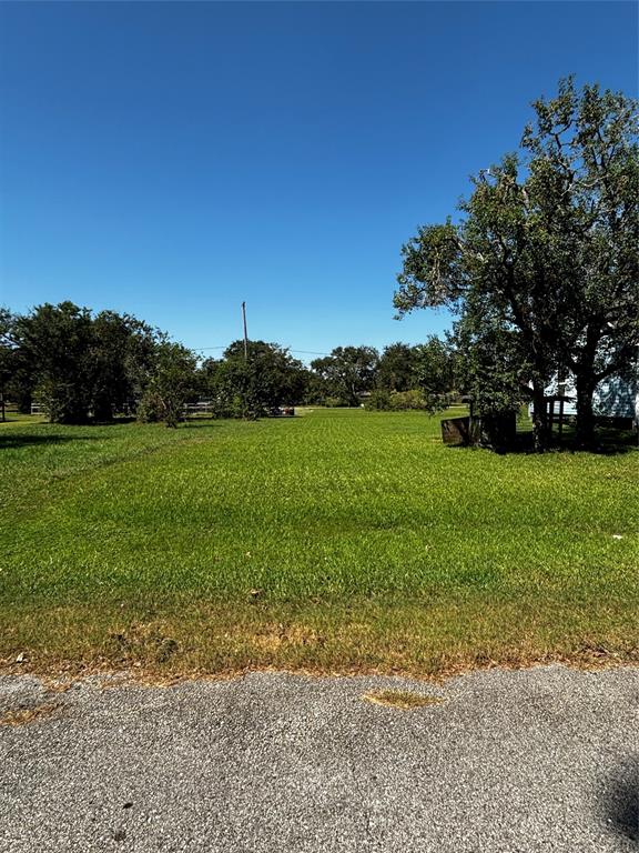 Lexington, Hitchcock, Texas image 4