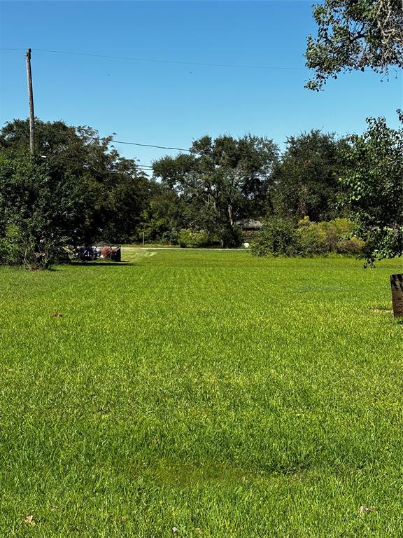 Lexington, Hitchcock, Texas image 3