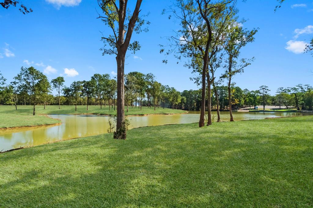 TBD10 Lake Cove Court, Livingston, Texas image 10