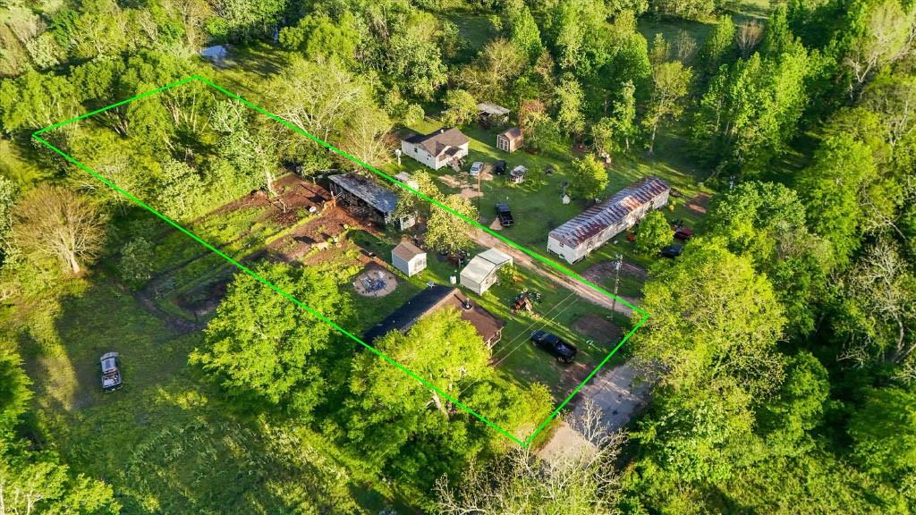 Green Lane, Coldspring, Texas image 3