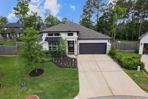 719 Carina Gaze Court Conroe TX 77318