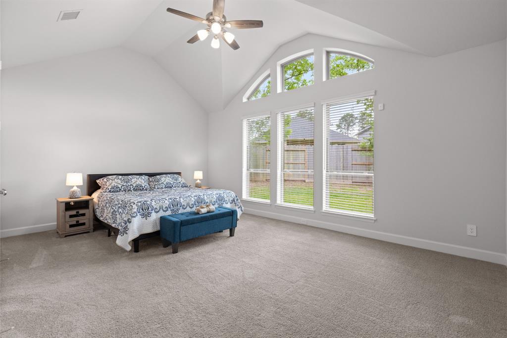 719 Carina Gaze Court, Conroe, Texas image 22