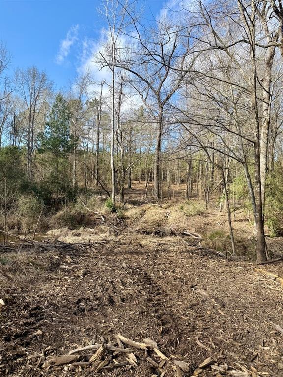 TBD-9 Hwy 271, Gladewater, Texas image 23