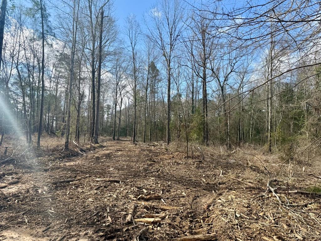 TBD-9 Hwy 271, Gladewater, Texas image 21