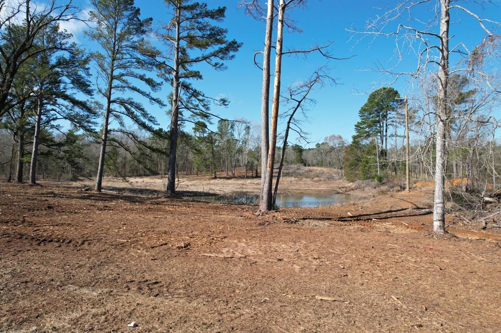 TBD-9 Hwy 271, Gladewater, Texas image 9