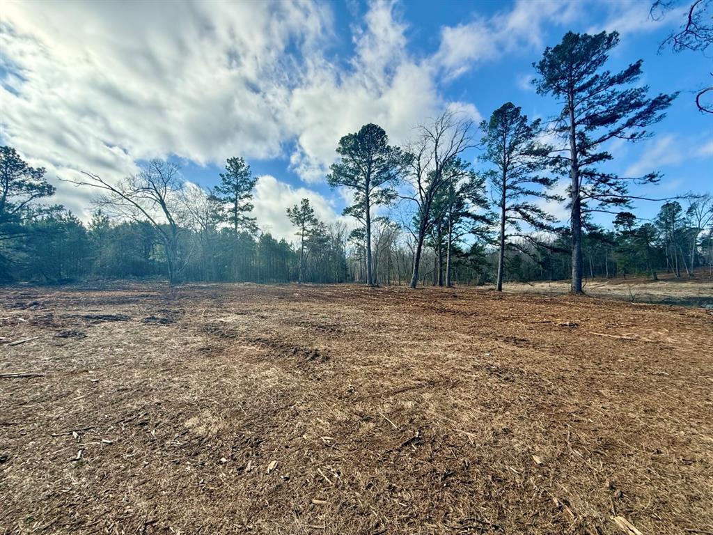 TBD-9 Hwy 271, Gladewater, Texas image 17