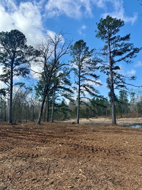TBD-9 Hwy 271, Gladewater, Texas image 18