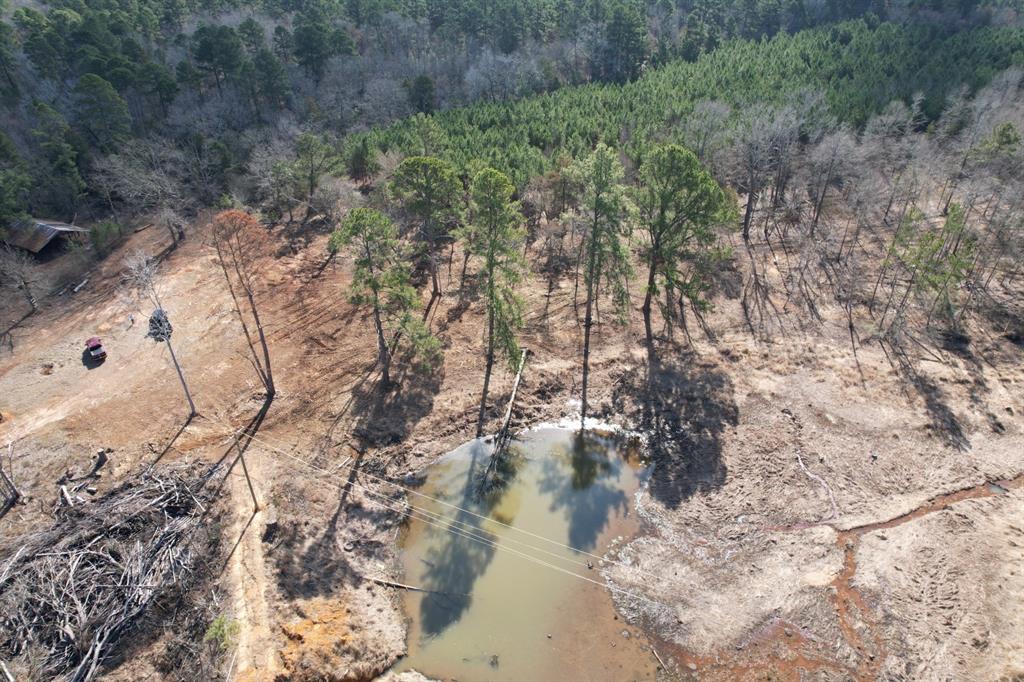 TBD-9 Hwy 271, Gladewater, Texas image 6
