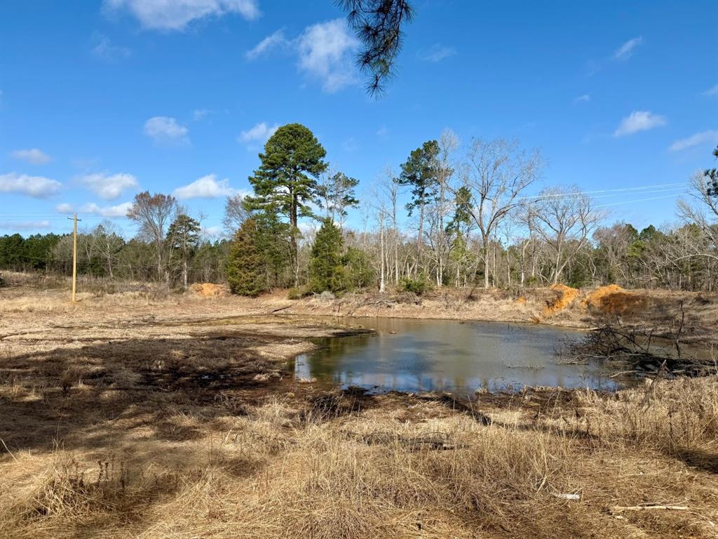 TBD-9 Hwy 271, Gladewater, Texas image 19