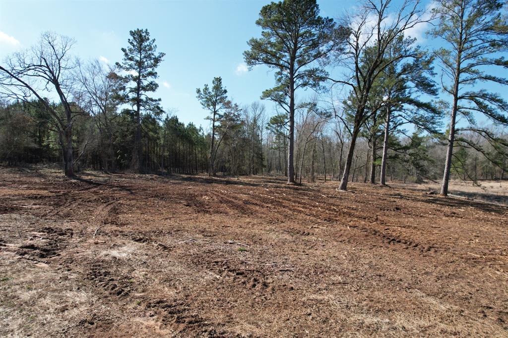 TBD-9 Hwy 271, Gladewater, Texas image 10