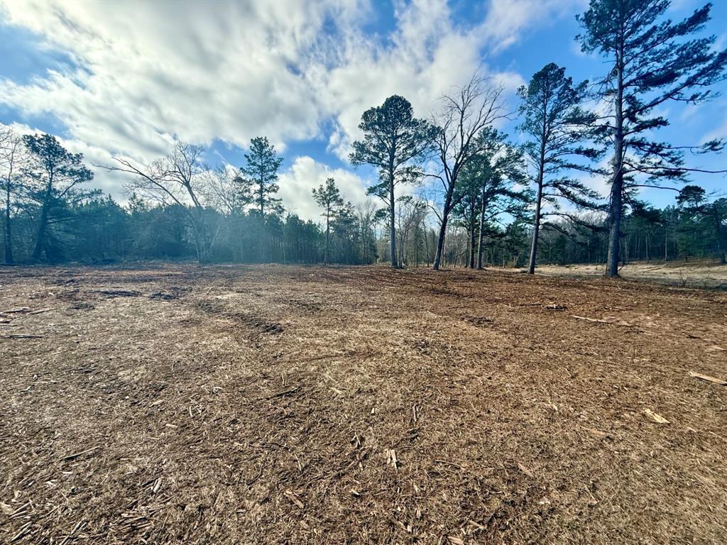TBD-9 Hwy 271, Gladewater, Texas image 16