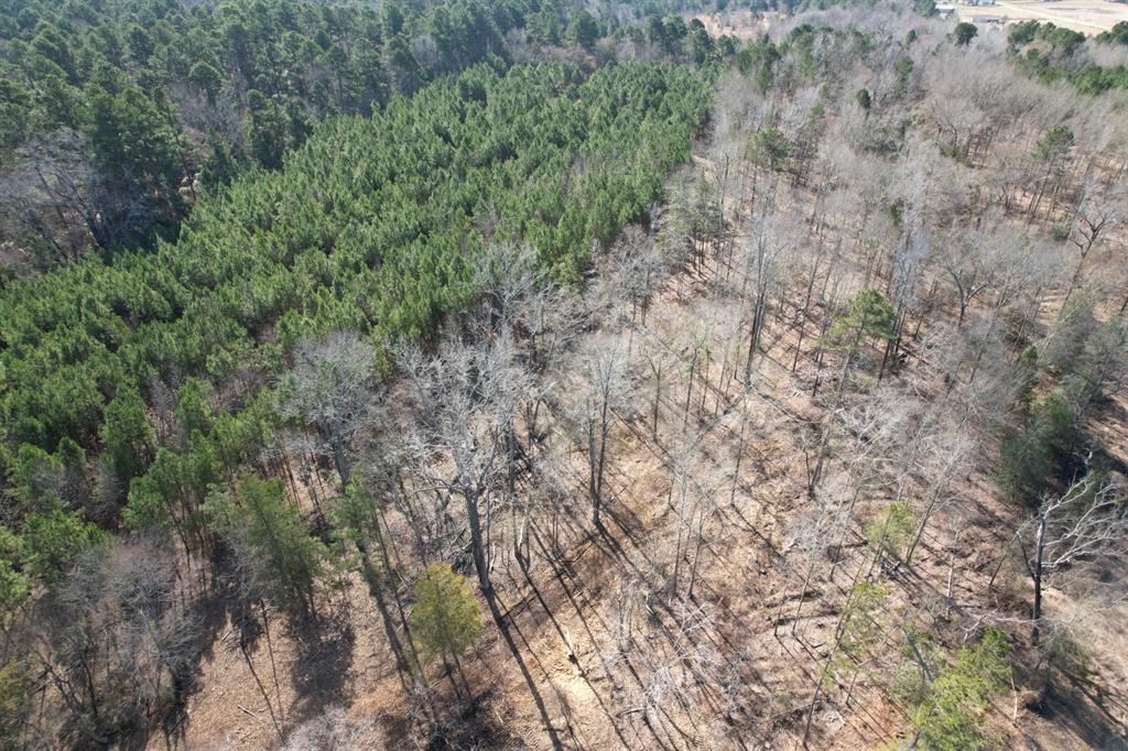 TBD-9 Hwy 271, Gladewater, Texas image 7