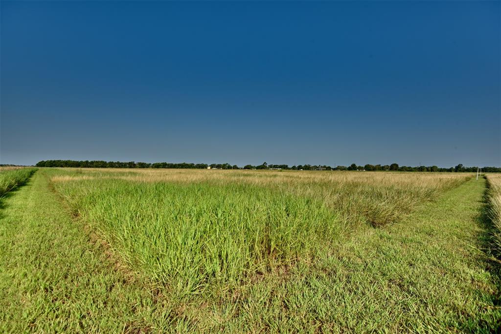 000 Neal Rd Lot 3, Beasley, Texas image 12