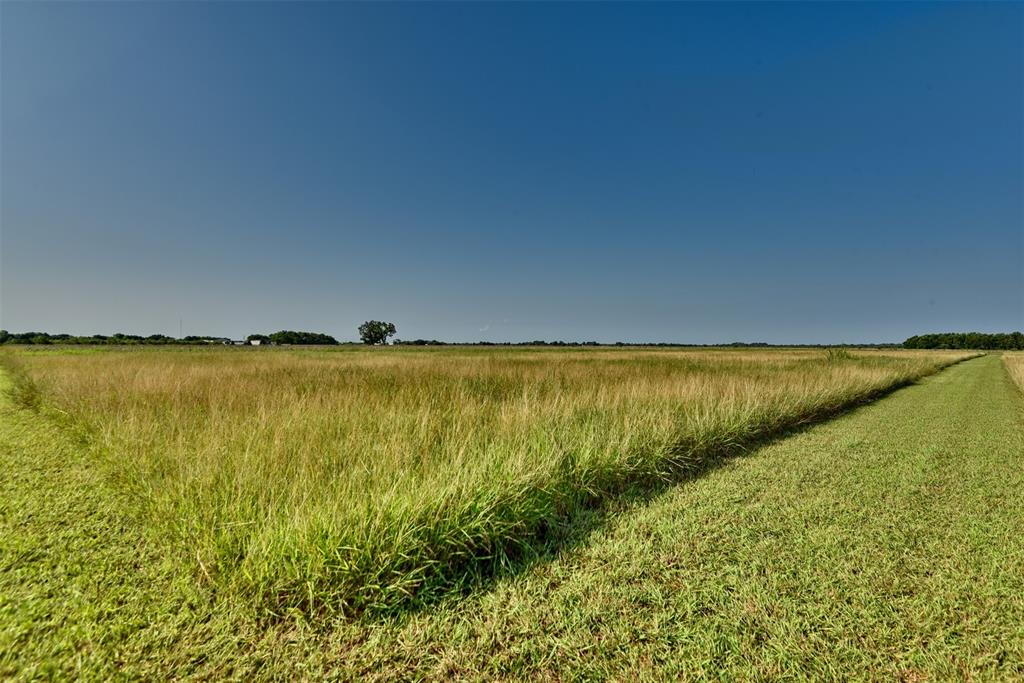 000 Neal Rd Lot 3, Beasley, Texas image 13