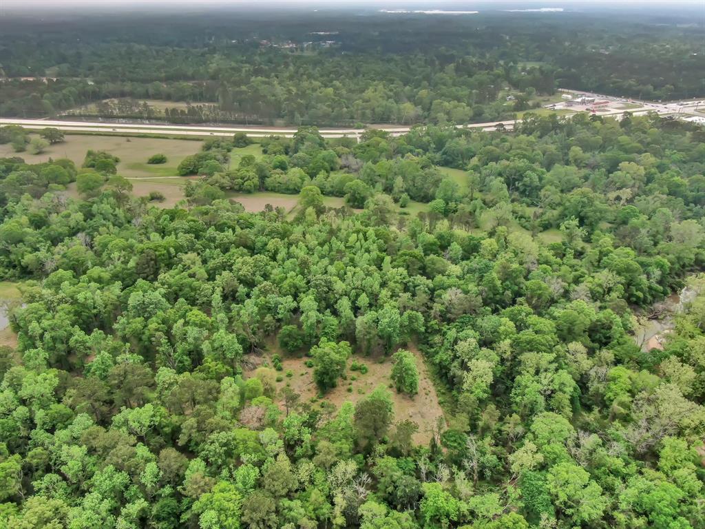 A Hayden Drive, Conroe, Texas image 6