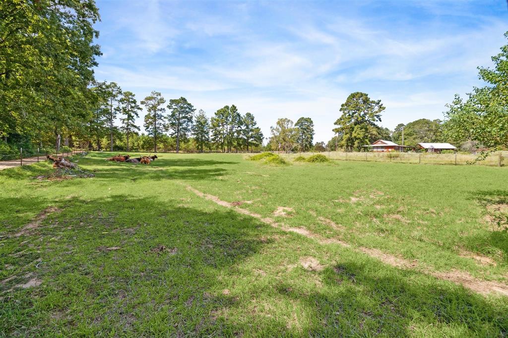 1797 Lilley Yeager Loop, Cleveland, Texas image 33