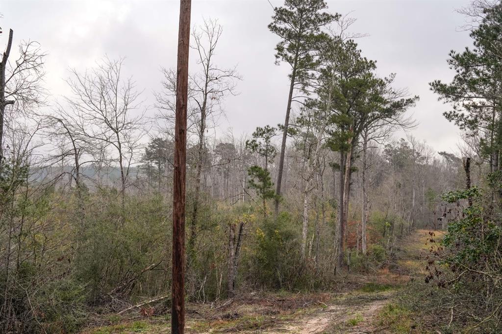 TBD 2 Cr 2052, Newton, Texas image 35