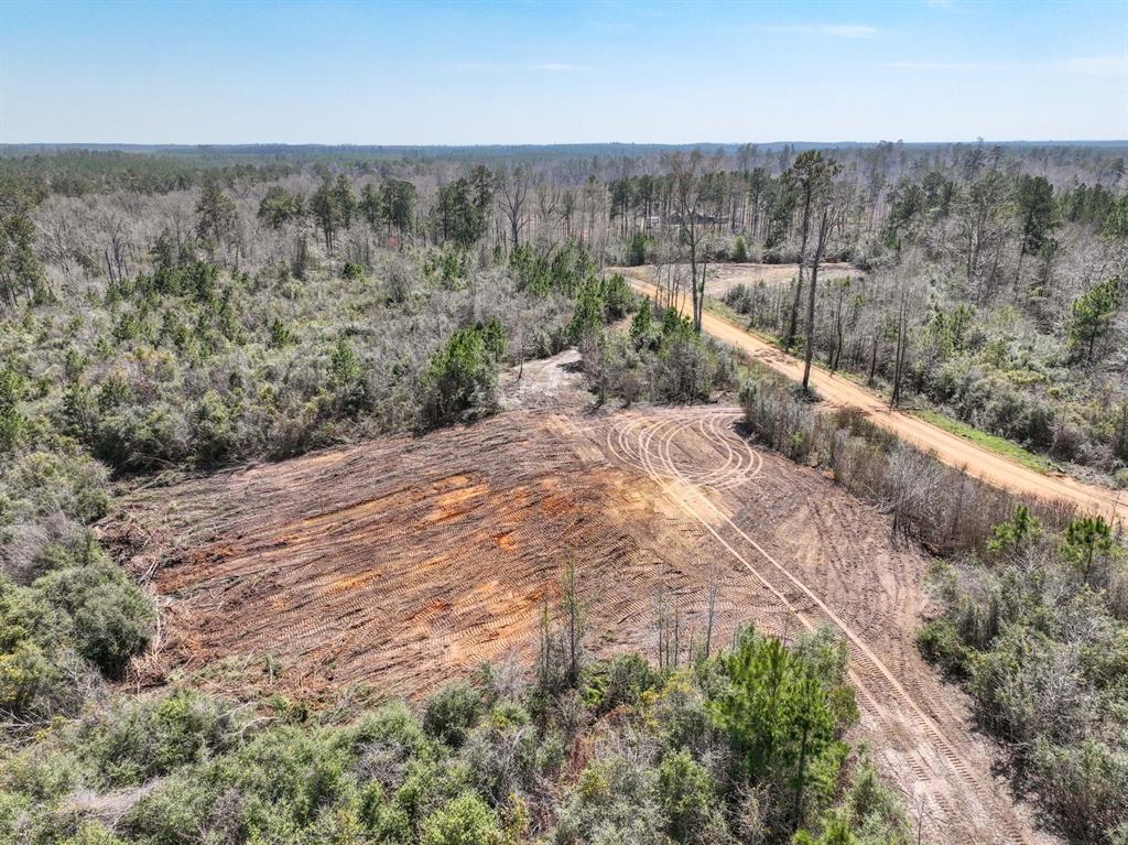 TBD 2 Cr 2052, Newton, Texas image 3
