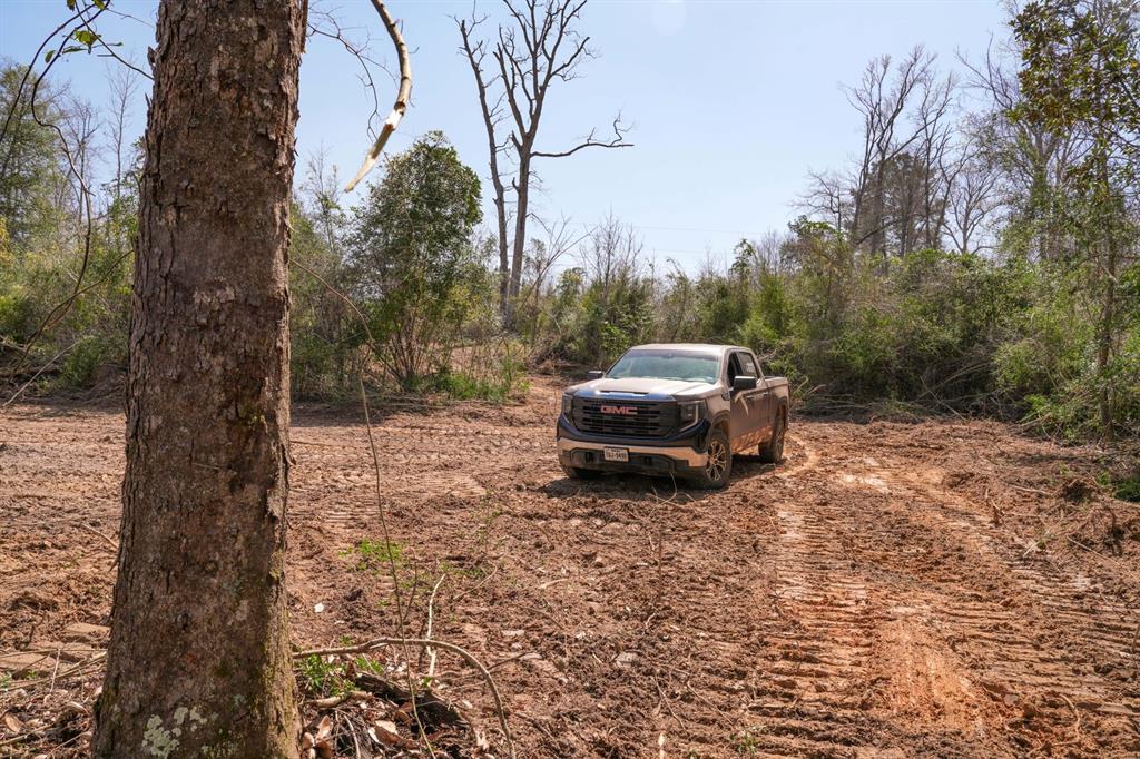 TBD 2 Cr 2052, Newton, Texas image 44