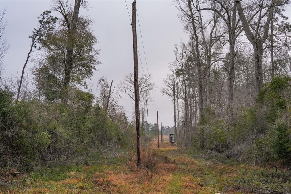 TBD 2 Cr 2052, Newton, Texas image 28