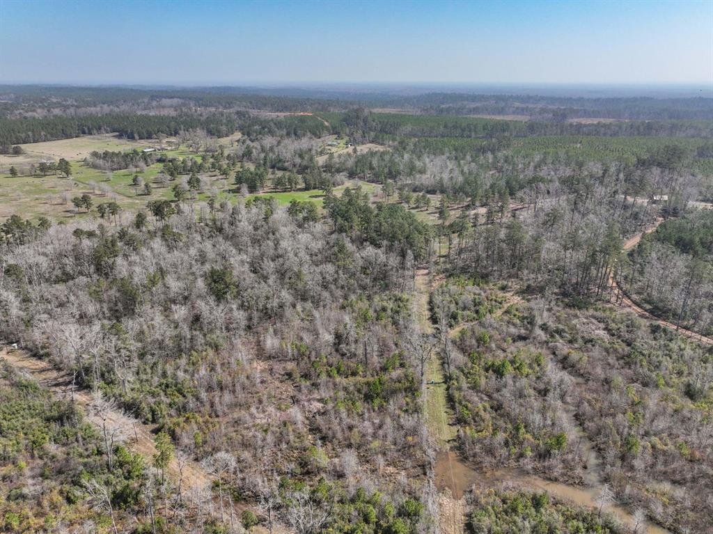 TBD 2 Cr 2052, Newton, Texas image 14