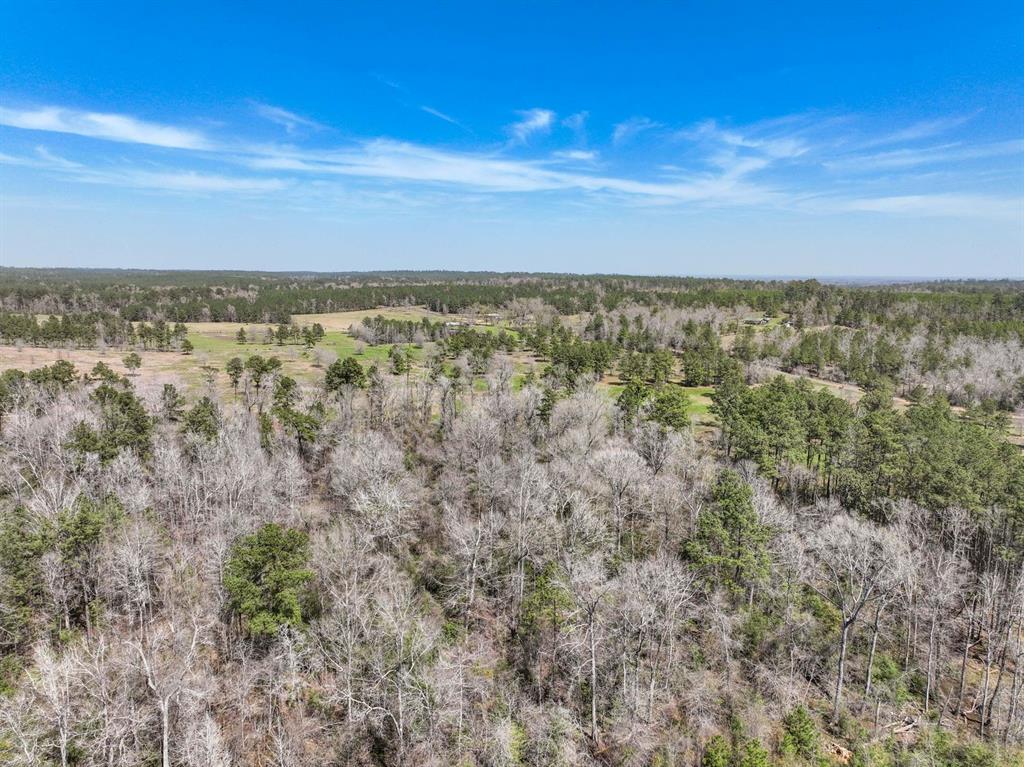 TBD 2 Cr 2052, Newton, Texas image 41