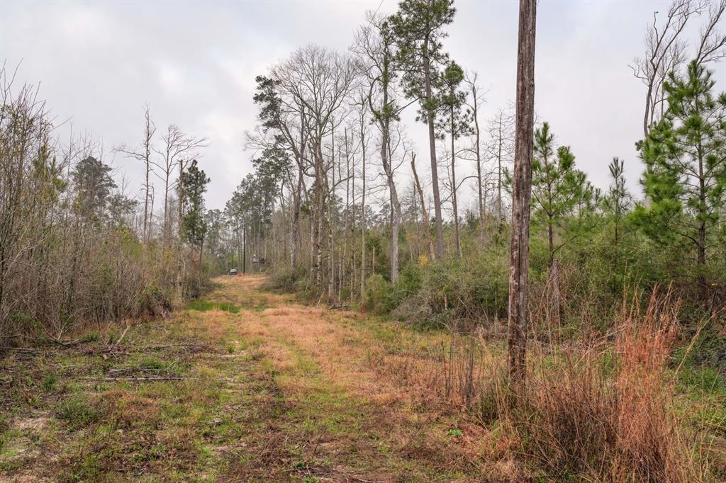 TBD 2 Cr 2052, Newton, Texas image 43
