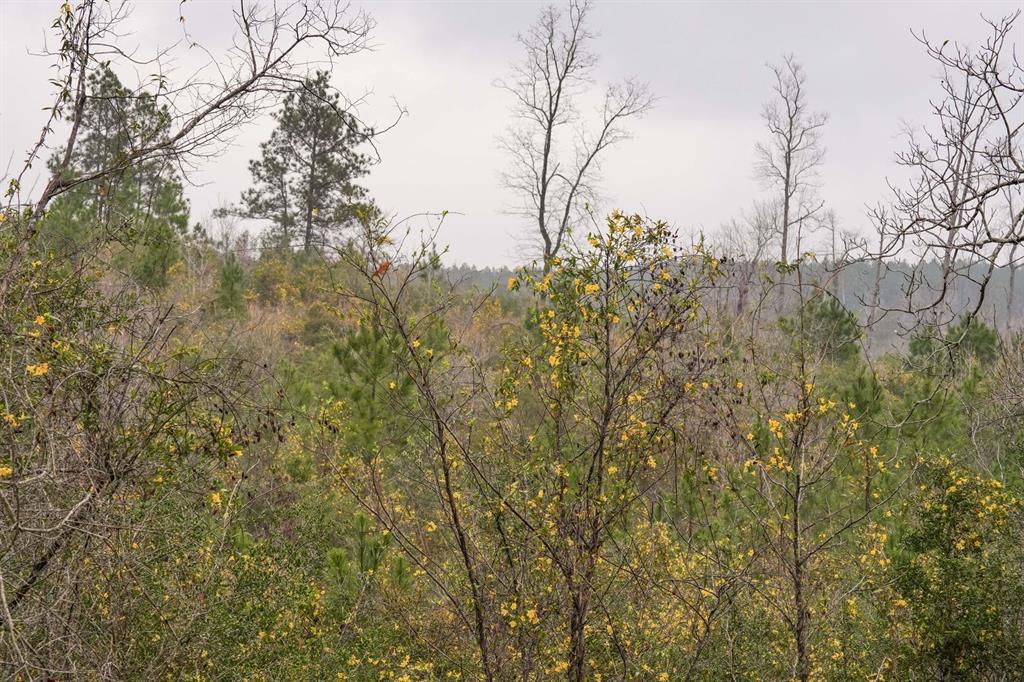 TBD 2 Cr 2052, Newton, Texas image 12