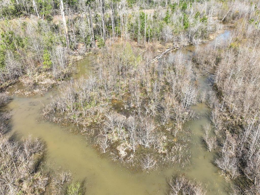 TBD 2 Cr 2052, Newton, Texas image 42