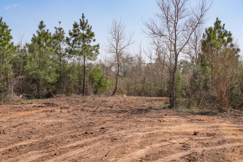 TBD 2 Cr 2052, Newton, Texas image 29