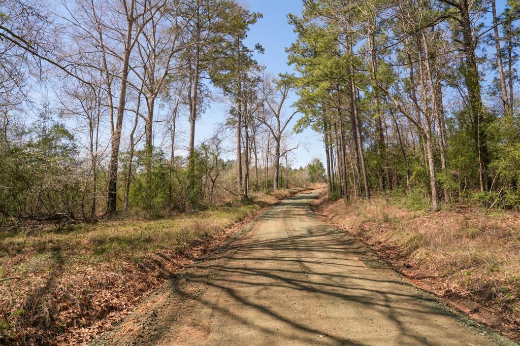 TBD 2 Cr 2052, Newton, Texas image 16