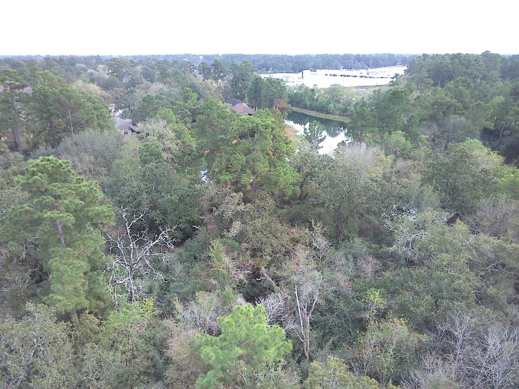 Lot 11 Galleria Oaks Lane, Magnolia, Texas image 6