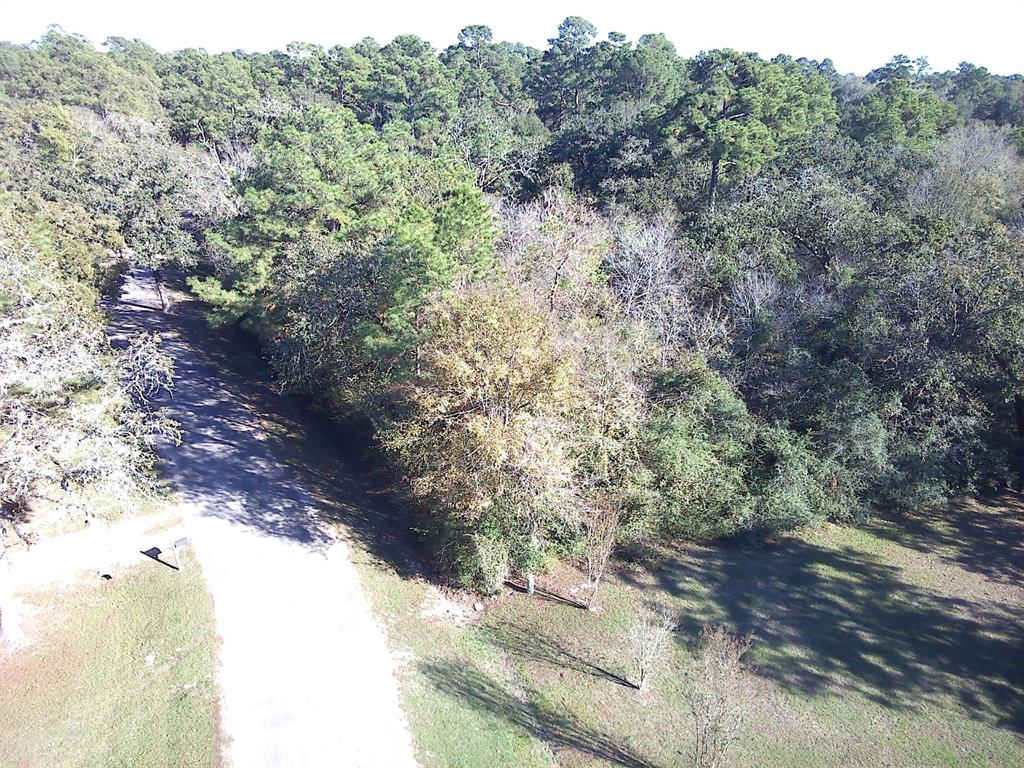 Lot 11 Galleria Oaks Lane, Magnolia, Texas image 2